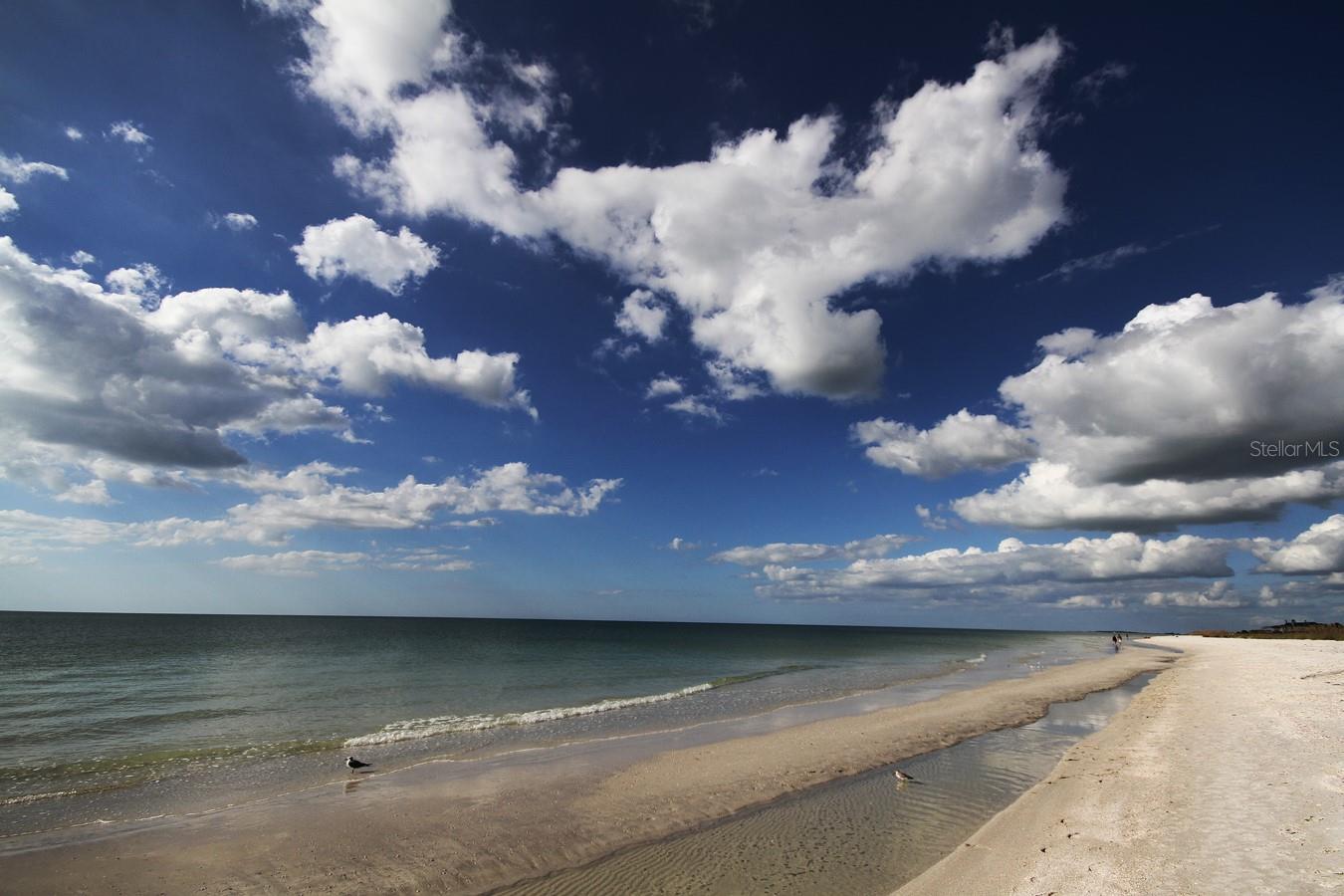 ISLAND ESTATES OF CLEARWATER - Residential