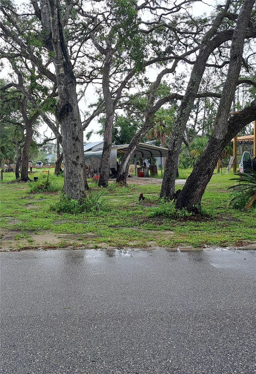 This lot  fronts on a paved road just two blocks for a short walk  to  the Steinhatchee River, boat ramp, Roy's restaurant, Sea Hag marina Sewer, water and electric are available close by. Prior to the last two hurricanes of 2023 and 2024.  This property hadn't flooded since 1990, and has an  approx. elevation of 6-8'.  Come and enjoy  premier fishing, scenic river views, and fresh seafood  from you own piece of paradise  in this beautiful coastal town! Information was obtained from the  county building and zoning, water and sewer, and the electric company and is believed to be accurate. Buyer is advised  to ascertain the suitability for this property for your needs.