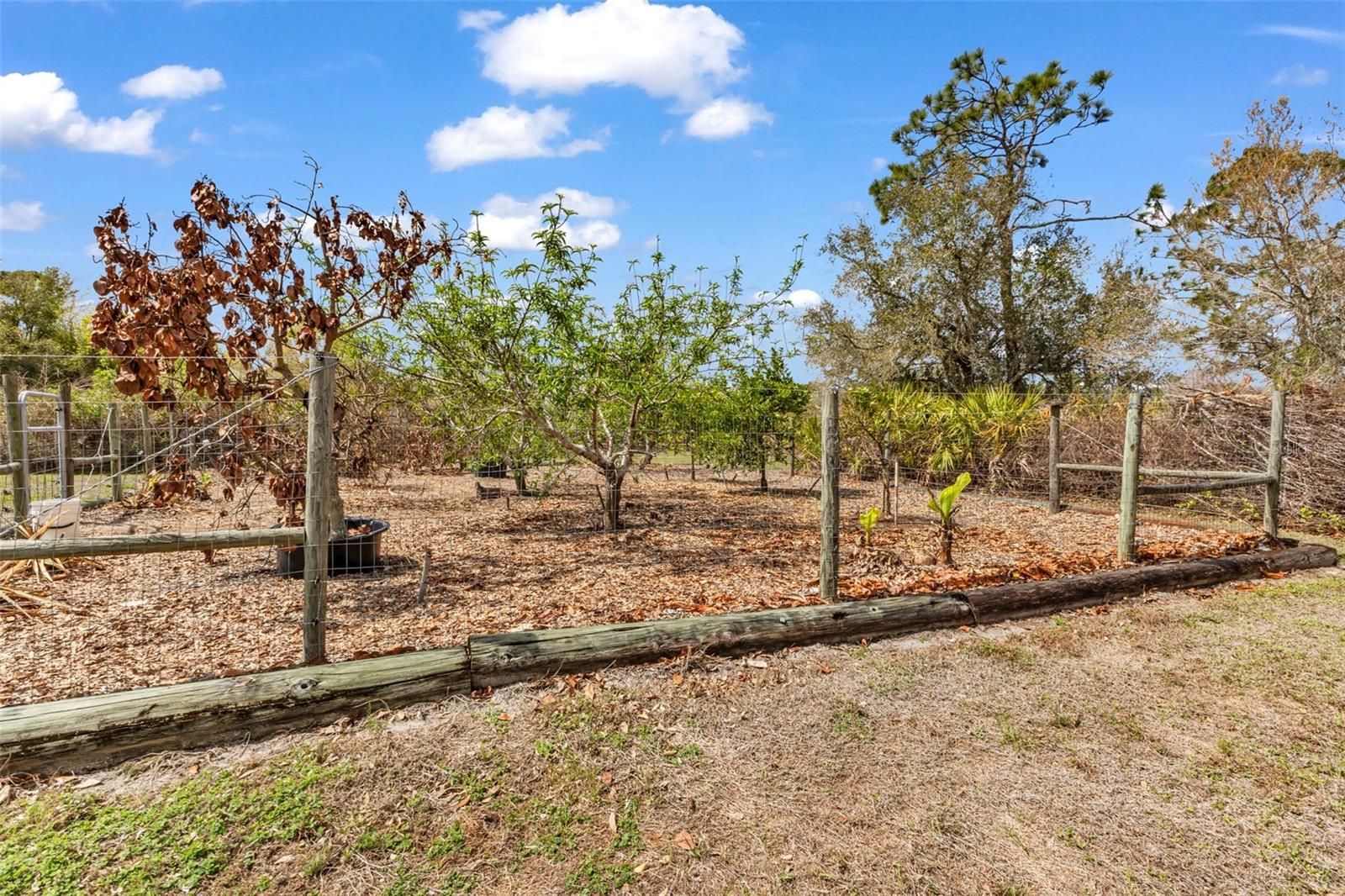 PUNTA GORDA RANCHES AMD - Residential