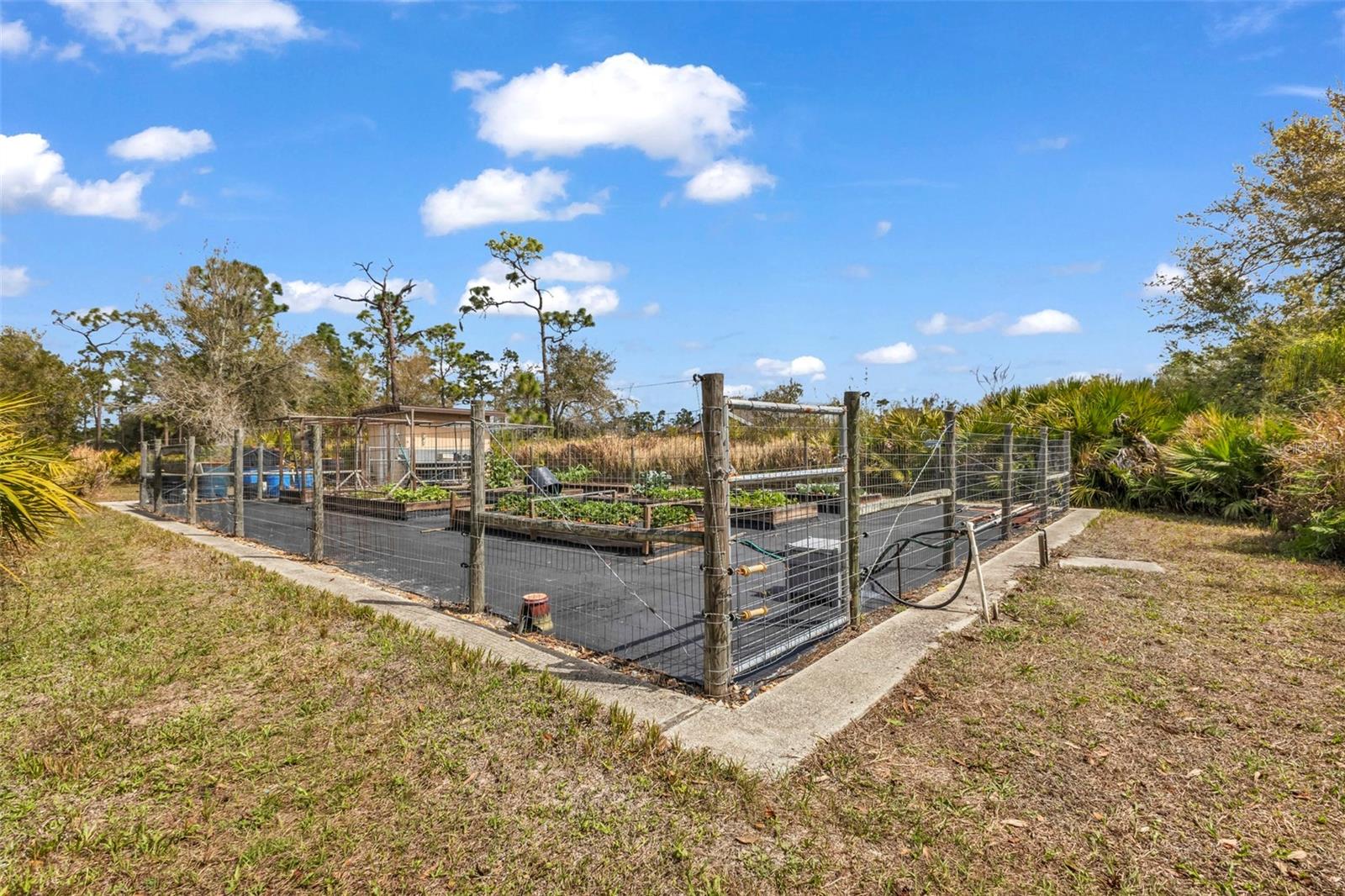 PUNTA GORDA RANCHES AMD - Residential