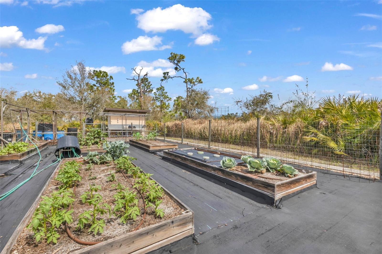 PUNTA GORDA RANCHES AMD - Residential