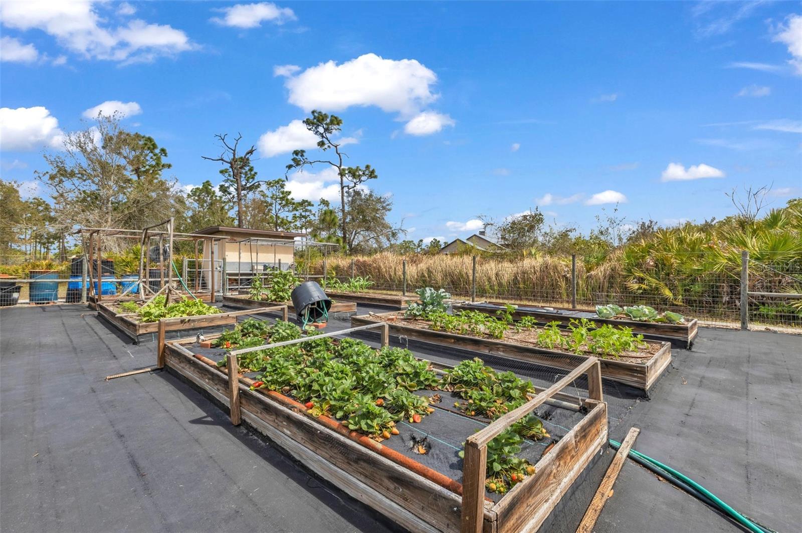 PUNTA GORDA RANCHES AMD - Residential