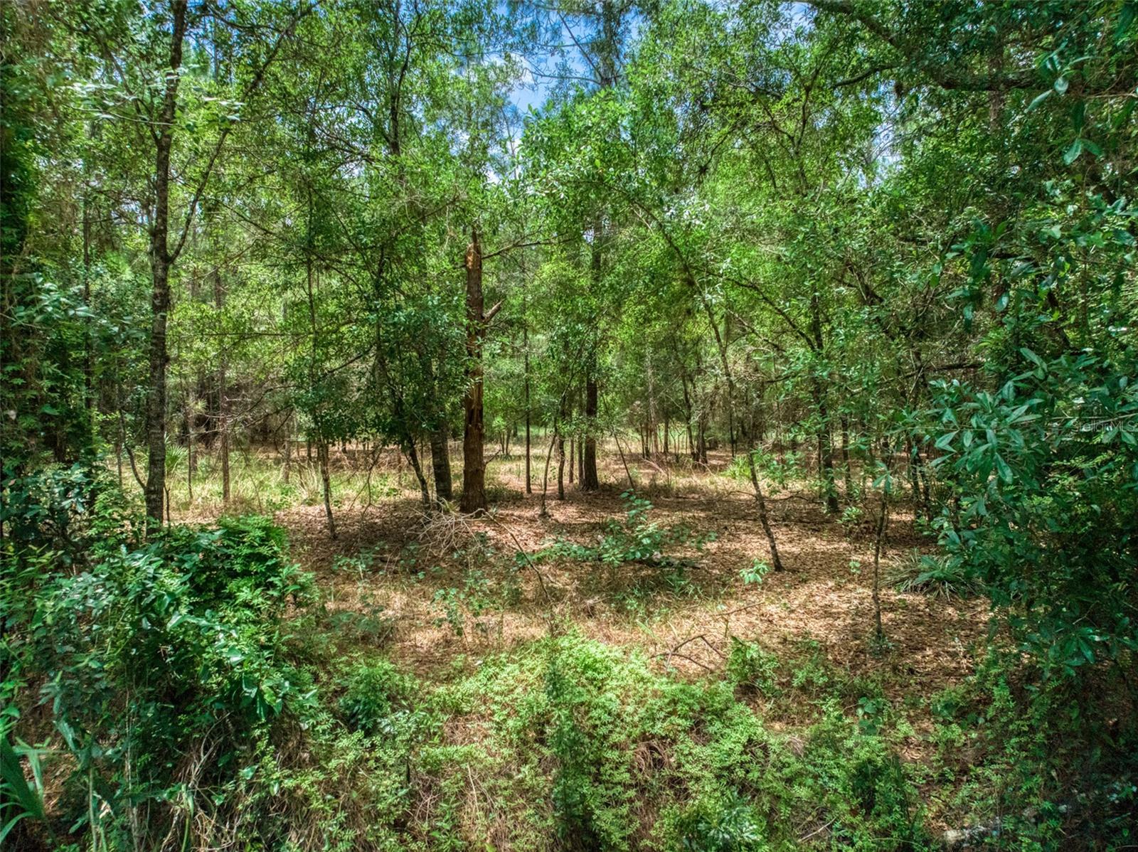 Don't miss out on this almost 10-acre improved parcel with a gated entrance, outbuildings and more! This beautiful almost 9.97-acre property features an old mobile home that is no longer livable and not part of the sale, but with that also comes a previous well and septic and electric hook up. Also included is a barn/garage in the center of the property. This property has lots of mature oaks, pines and other flora common in the area. Seeing is believing with this opportunity.