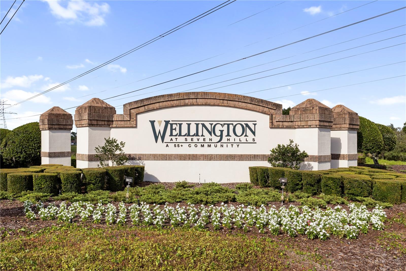 WELLINGTON AT SEVEN HILLS PH 8 - Residential