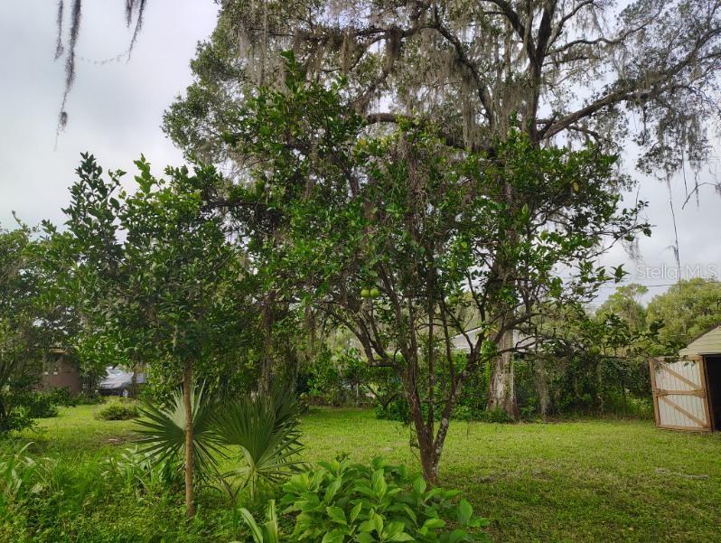 BIG TREE CAMPSITES SEC D - Residential