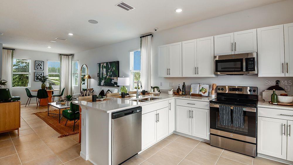 THE TOWNS AT SKYE RANCH - Residential