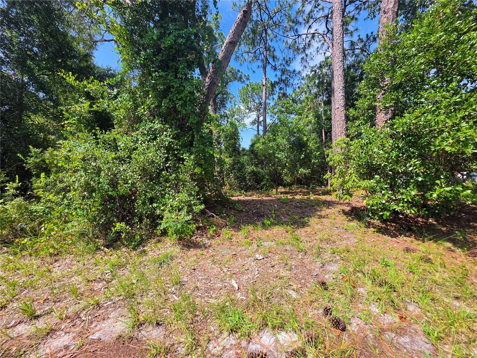 DELTONA LAKES UNIT 38 - Land