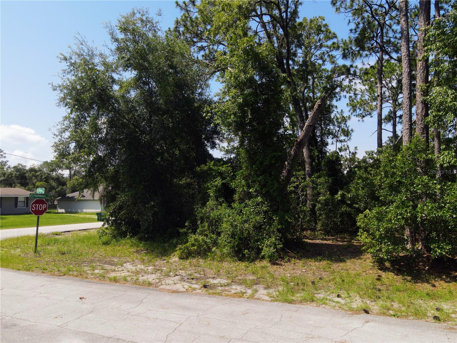DELTONA LAKES UNIT 38 - Land