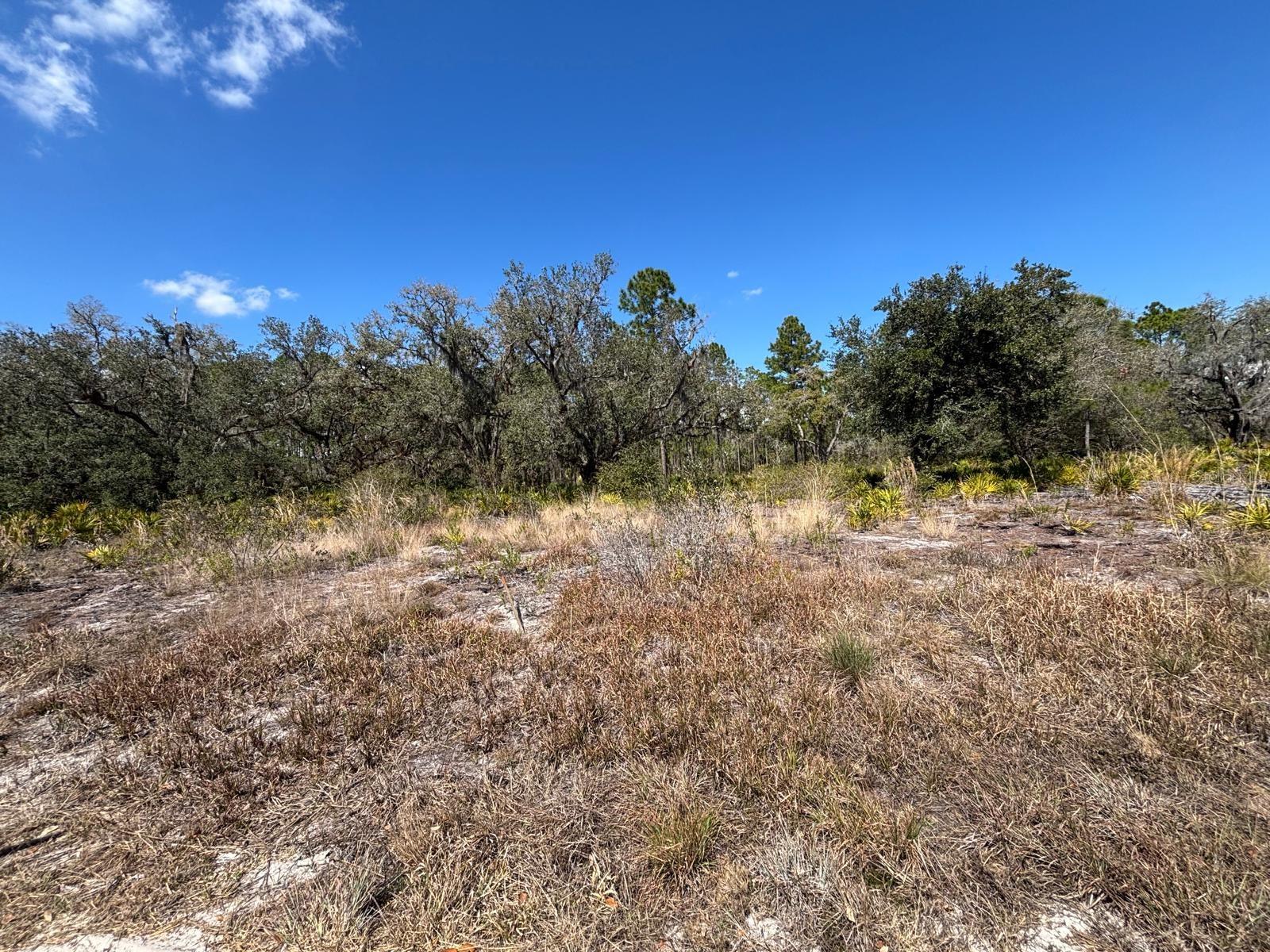 INDIAN LAKE ESTATES - Land