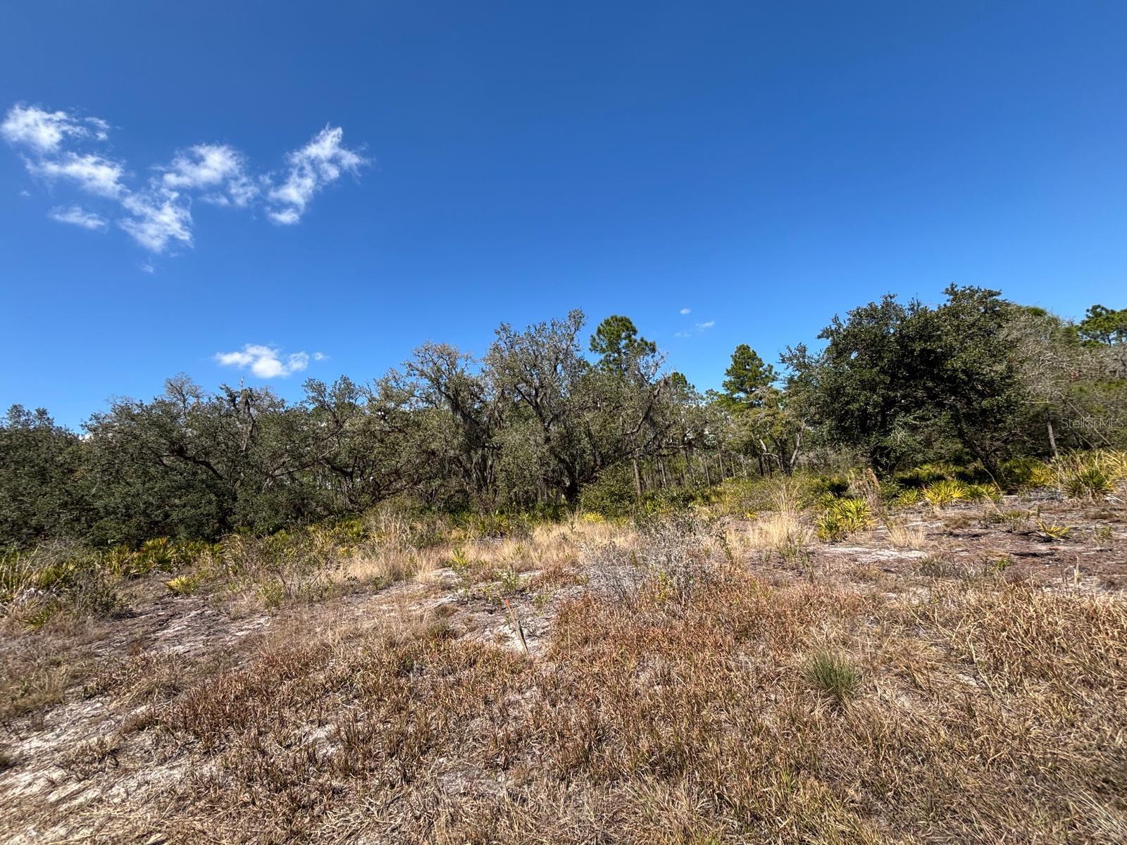 INDIAN LAKE ESTATES - Land