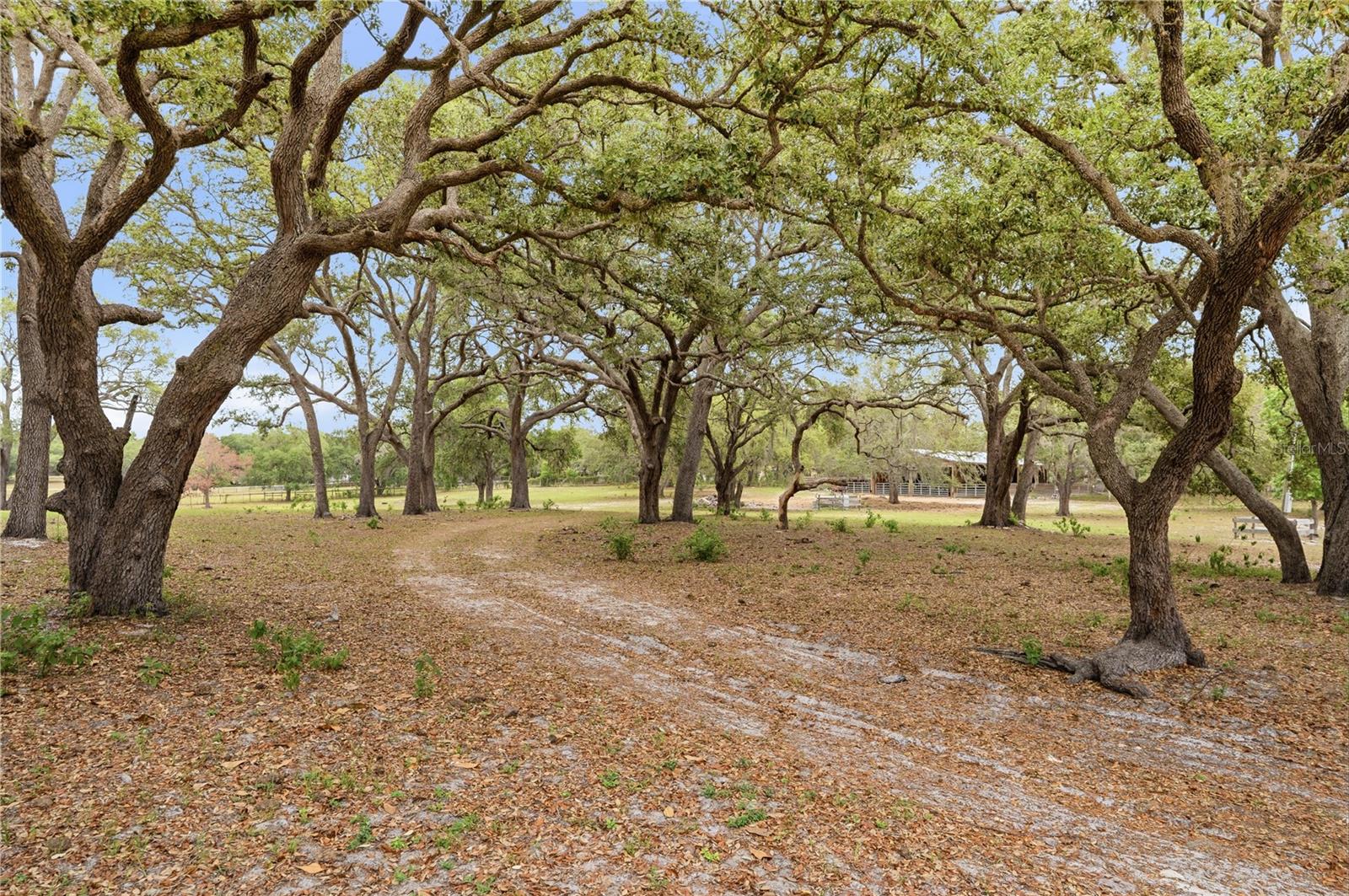 SUNCOAST HIGHLANDS UNREC - Land