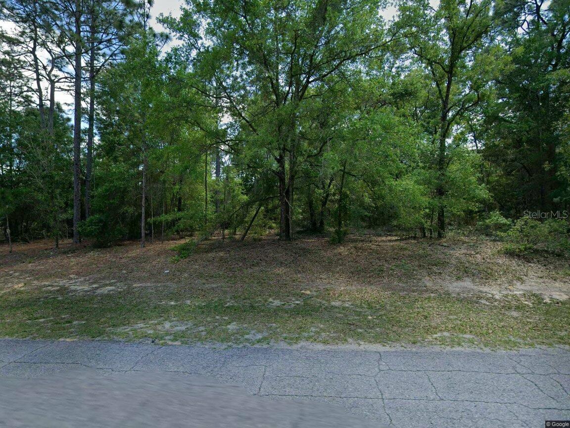 1.+ ACRE LOT in PINE RIDGE EQUESTERIAN COMMUNITY.  Come build your Dream Home in a Great Equestrian Community. Over 50 miles of Scenic Riding Trails!.....THIS COMMUNITY OFFERS:  Club-House w/ Community Pool, Fitness Center, Horse Stables Available, Park, Playground, Tennis, Racquet-Ball & Basketball Courts, And Seasonal Social Community Events.  The Homes on this Street (Mesa Verde DR) are all in the Mid $500's to $650k.  Great Loaction.  Closer to the Front of the Community gives you easy access to Shops, Grocer, Resturants...ect...   The Lot has  Water & Electric are right there close by. Paved Streets.  All these Community Features at such a Low Annual Fee of just  $96.00/yr.  E-Z Access to the Florida Sun-Coast Hwy which Boarders the West Side of Florida from North to South.  This Site Plan is Hi & Dry  Flood Zone X. NO CDD as most New Home Builder Areas do require.  This Community is very Private & Secluded yet, it has every Need Fullfilled with the local Shops & Services right around the Corner.  Where can you get so many Cummunity Option w/ Equestrian Facilities, for so little?   THE PINE RIDGE COMMUNITY BOARDERS THE WORLD FAMOUS BLK DIAMOND GOLF CUMMITY! This Property is USDA Eligible (N0 Down Payment) w/ a Construction Perm Loan.  You can acquire the Lot and Your Expenses to build with little money.  Call Ron to Get the Knowledge. LOAN PROGRAMS w/ No Down Payment.     NO BACKYARD NEIGHBORS.  Wooded 10 acre Parcel Directly Behind this property.  SO GET YOUR PLANS TOGETHER SELECT YOUR BUILDER.
OWNER SEZ:  "let <My Dream Go"  All Reasonable Offers Considered.  You've got to Drive thru this Area, It will make you want to stay!