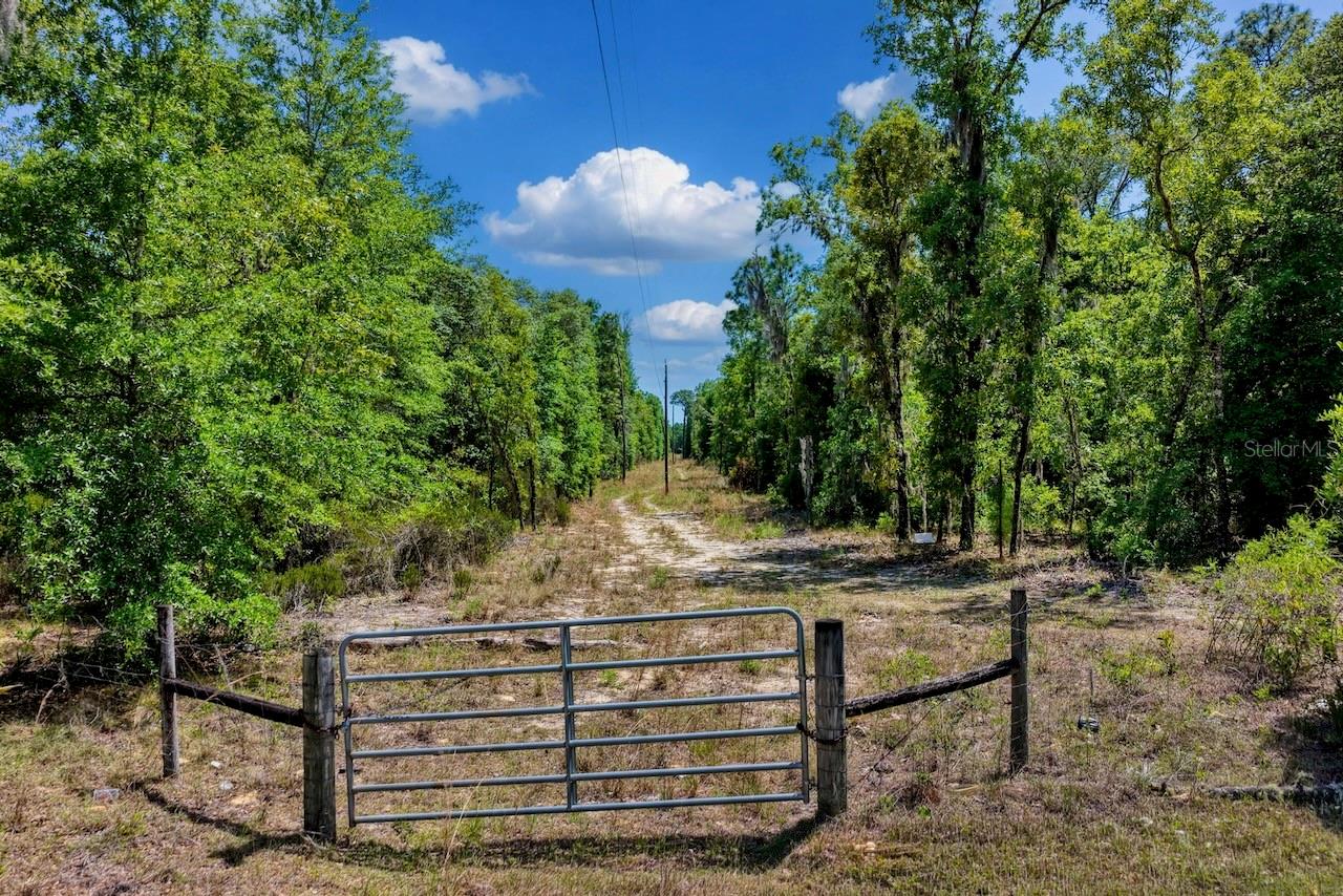 Under contract-accepting backup offers. Totally wooded 30 acre property to be divided from a larger parcel in the heart of Levy County. Offering privacy, natural beauty, and endless possibilities, this exceptional parcel is the perfect setting for your dream home, family retreat, recreational getaway, or investment. Enjoy the best of country living while remaining conveniently located just a short drive from Gainesville for work, shopping, dining, healthcare, and the University of Florida. Levy County is known for its quaint communities, slower pace of life, and abundant natural beauty, making it an ideal place to enjoy the outdoors and escape the hustle of the city. Outdoor enthusiasts will appreciate the property's outstanding location. The Watermelon Pond South Tract of Goethe State Forest is just 1/2 mile across NE 75th Street, providing miles of trails for horseback riding, hiking, wildlife viewing, and exploring Florida's natural landscapes. Cool off at nearby Blue Springs Park or Henry Beck Park, where you can enjoy crystal-clear springs, swimming, picnicking, and family outings. If fishing and boating are your passion, you'll love being only 35 to 40 miles from the historic Gulf Coast community of Cedar Key, renowned for its world-class fishing, fresh clams and seafood, unique waterfront restaurants, charming shops, and unforgettable sunsets. Choose your preferred 30 acre location; it can front CR 335 (aka NE 75th St) or you may choose the south end of the parcel with access from NE 131st Avenue. The possibilities are truly endless for creating a legacy property to be enjoyed for years to come. Whether you're seeking a private homesite, a recreational paradise, or a long-term investment in one of Florida's hidden gems, this beautiful 30-acre property offers the perfect blend of seclusion, convenience, and outdoor adventure.
