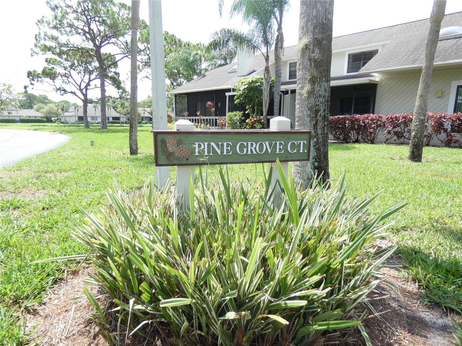 PINE TREE VILLAGE - Residential