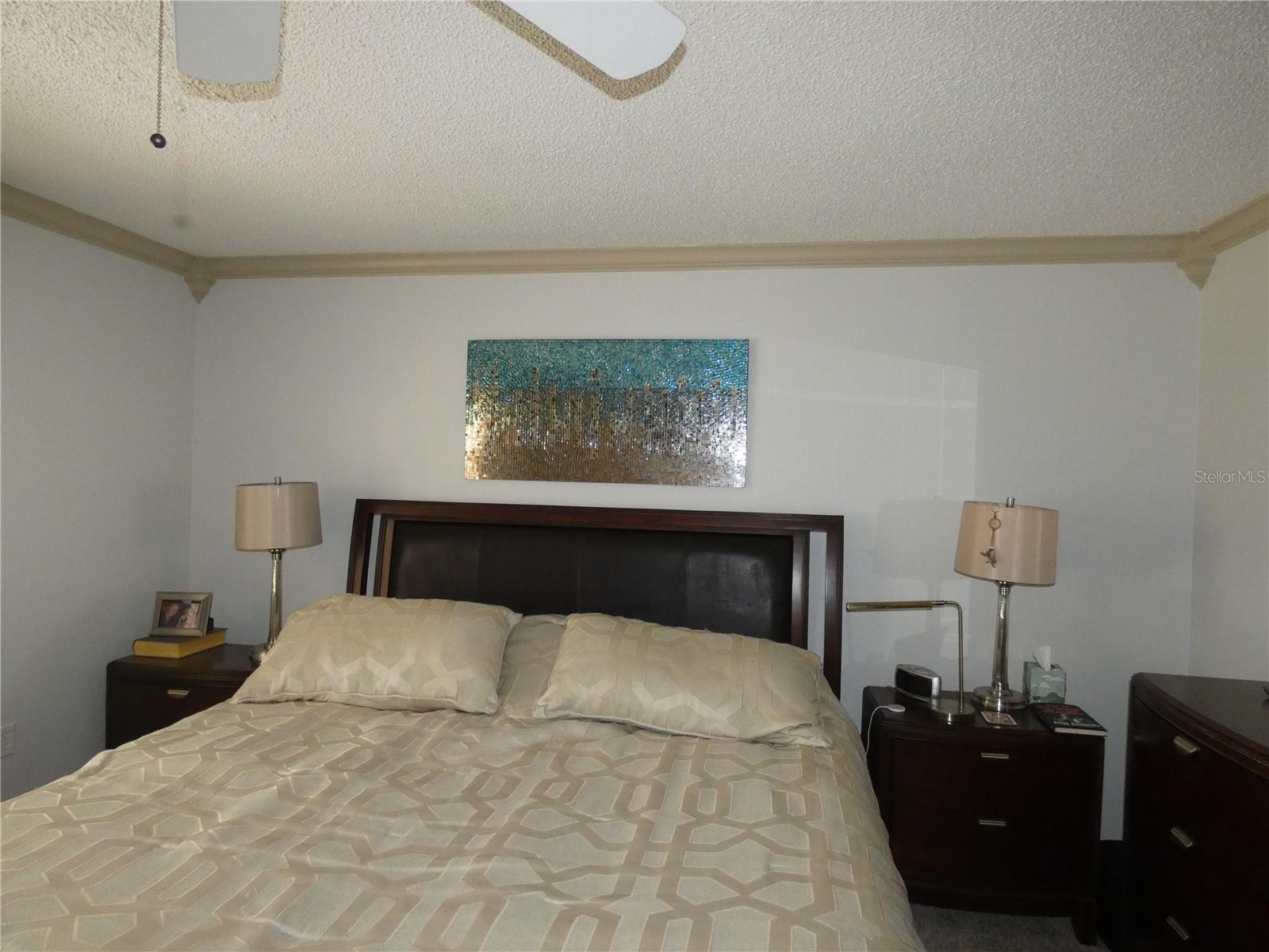 PINE TREE VILLAGE - Residential