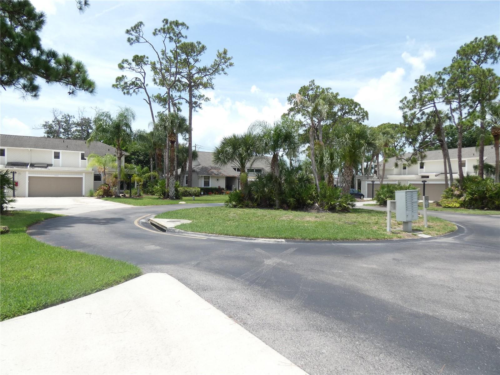 PINE TREE VILLAGE - Residential
