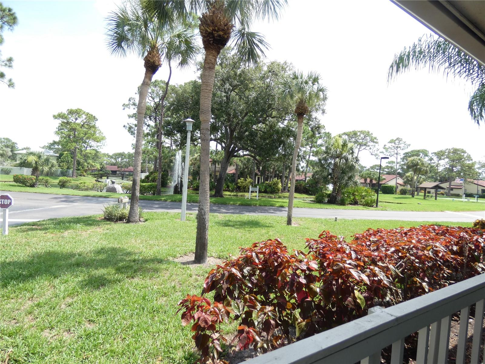 PINE TREE VILLAGE - Residential
