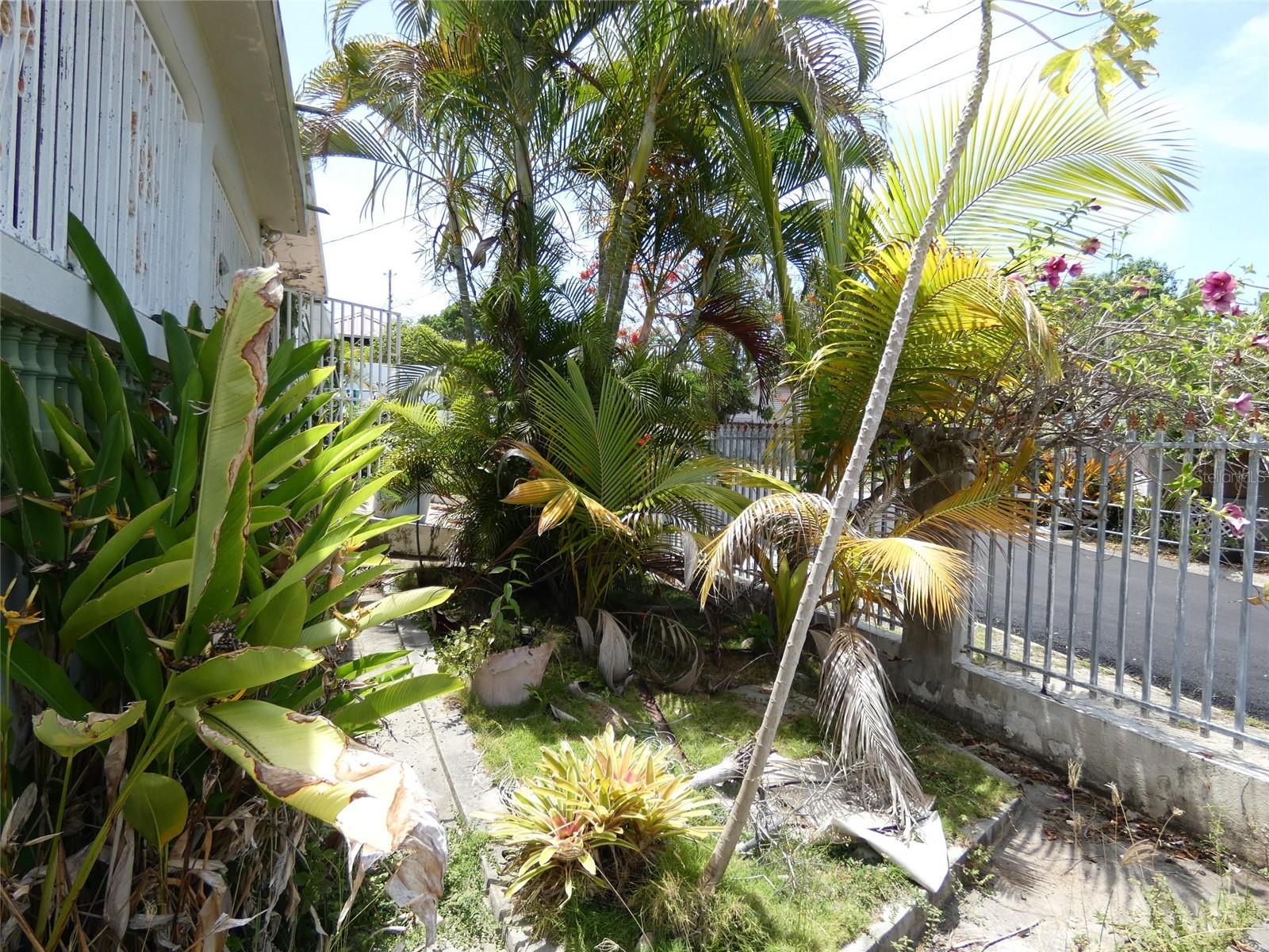 ESPERANZA - Residential