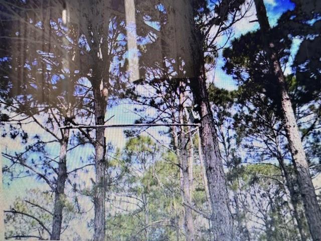 3080 - TRUMAN PARK - Land