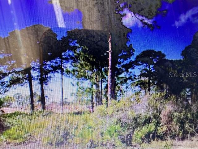 3080 - TRUMAN PARK - Land