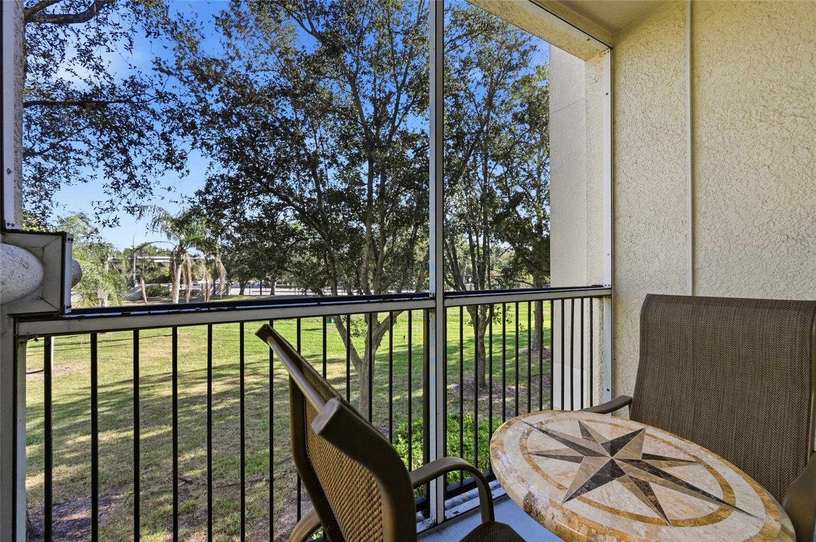 SERENADE ON PALMER RANCH - Residential