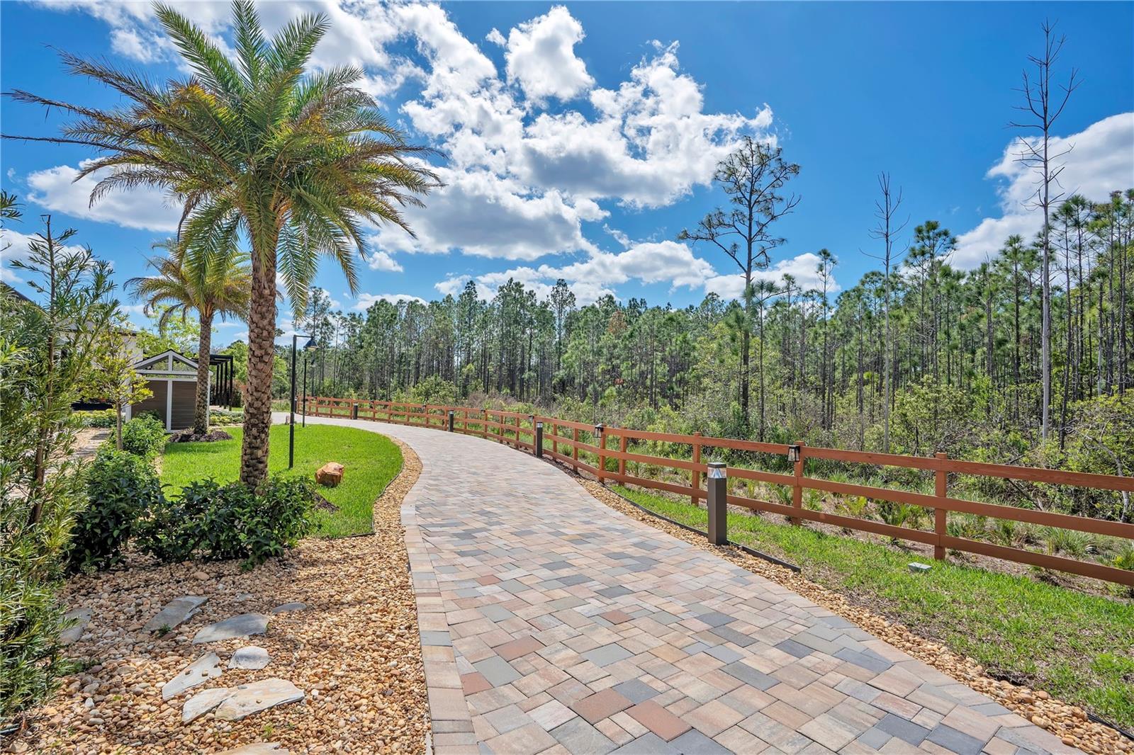 CAPE ORLANDO ESTATES - Residential