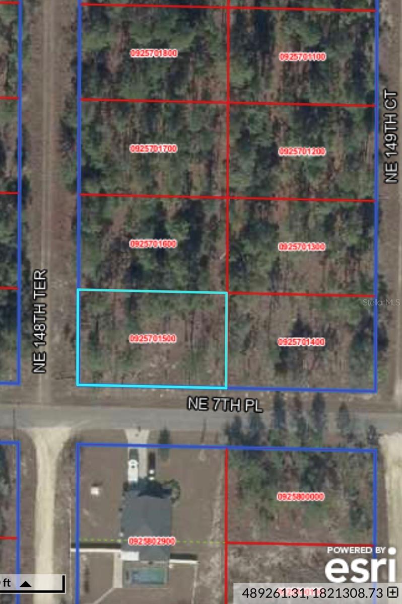 Beautiful .23 acre lot just off paved road. A great location to build your new home. Less than a 10minute drive from Williston, 30 minutes to Gainesville & Ocala. And only 45 minutes from beautiful Crystal River. This property is also close to the Goethe State Forest where you can go ride horse, hike trails & many more outdoor activities. It measures 80'x125'x80'x125'. High & dry & NO HOA fees.