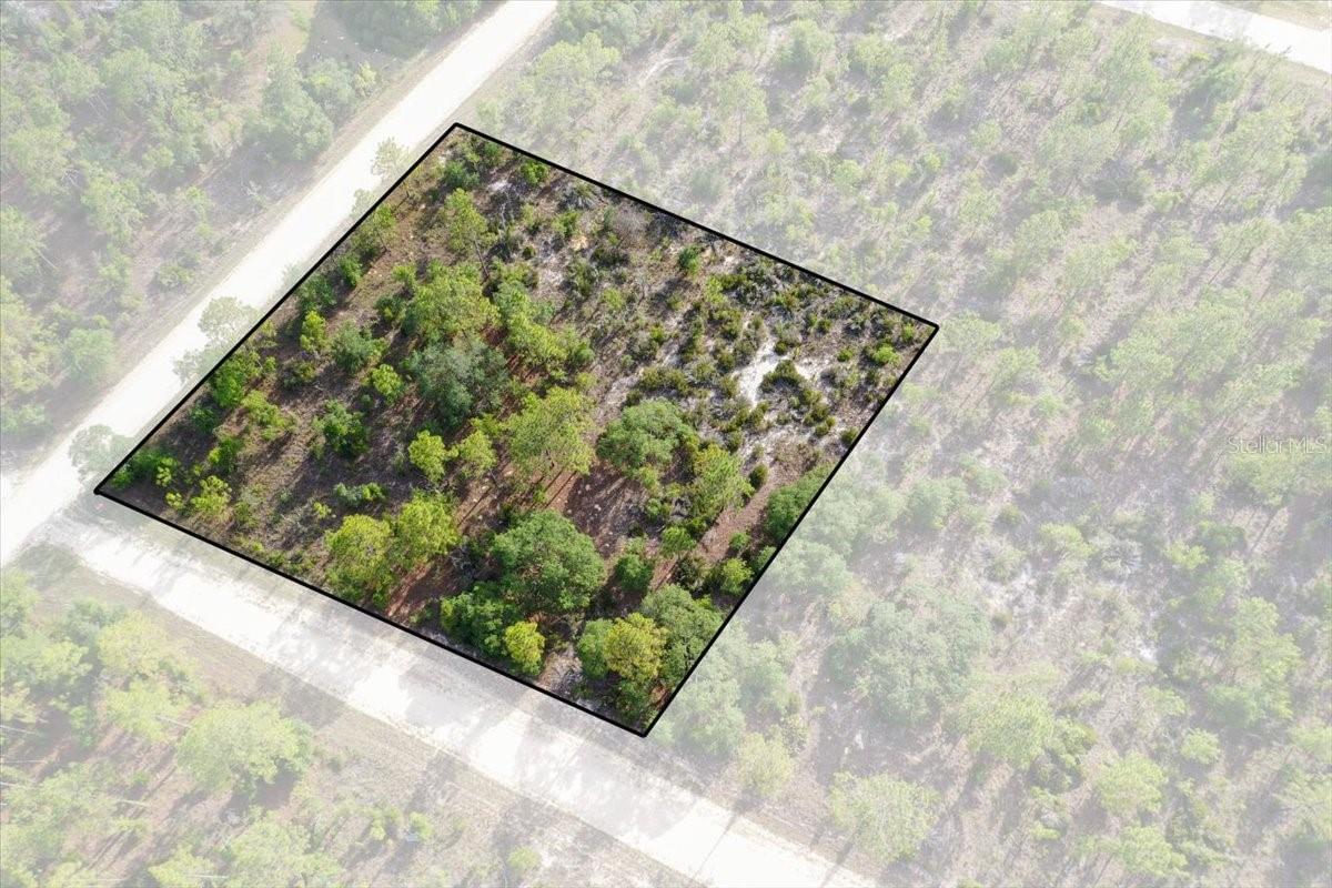 Rare opportunity to own up to 10 acres in Williston Highlands! This unique offering includes ten adjoining 1-acre lots available for purchase together or individually, giving you the flexibility to build your dream home, create a private retreat, or invest in Florida land. Enjoy plenty of room for your home, workshop, RV, boats, horses, and all your outdoor toys in a peaceful country setting just minutes from Williston's amenities. Located in the heart of Florida's Horse Country, the property is also a short drive to the World Equestrian Center in Ocala, as well as popular attractions like Devil's Den and Blue Grotto springs. Whether you're looking to build now or invest for the future, this property offers privacy, natural beauty, and the freedom to create the lifestyle you've been looking for.