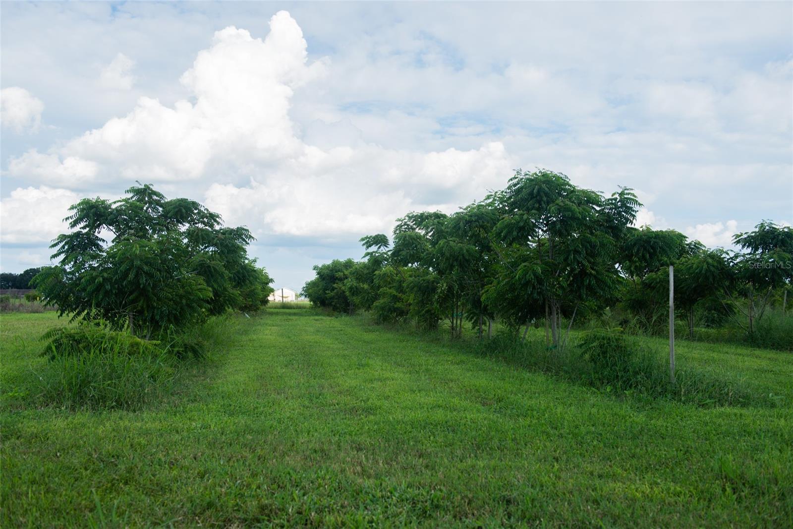 UNPLATTED - Land