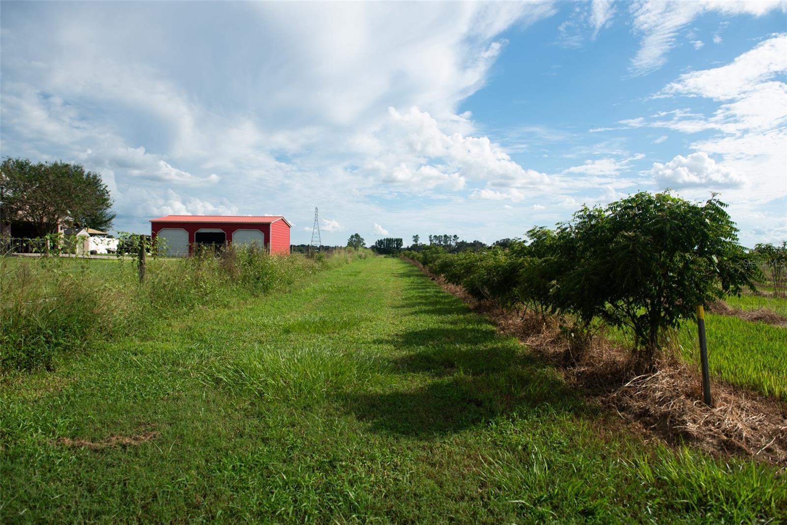 UNPLATTED - Land