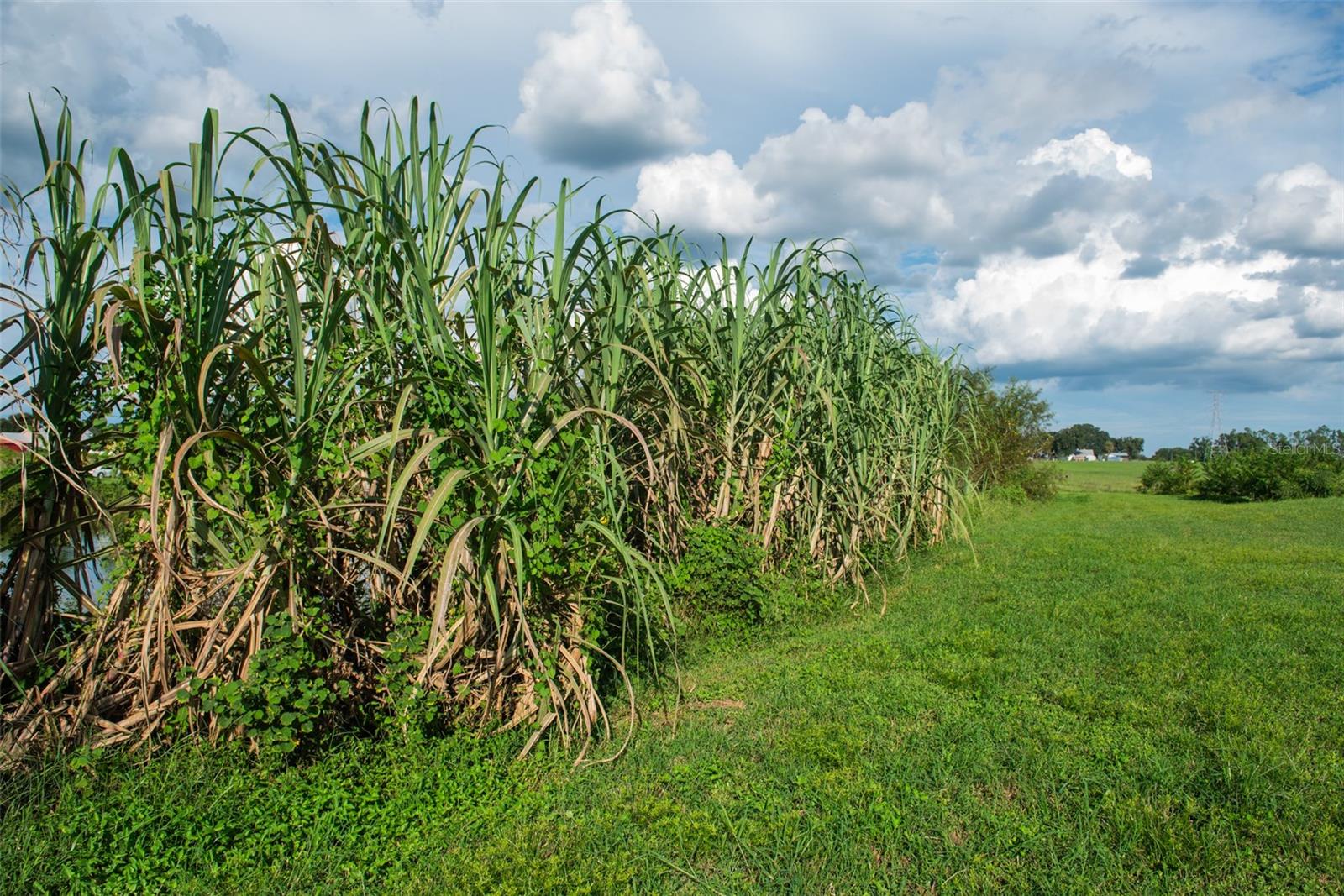 UNPLATTED - Land