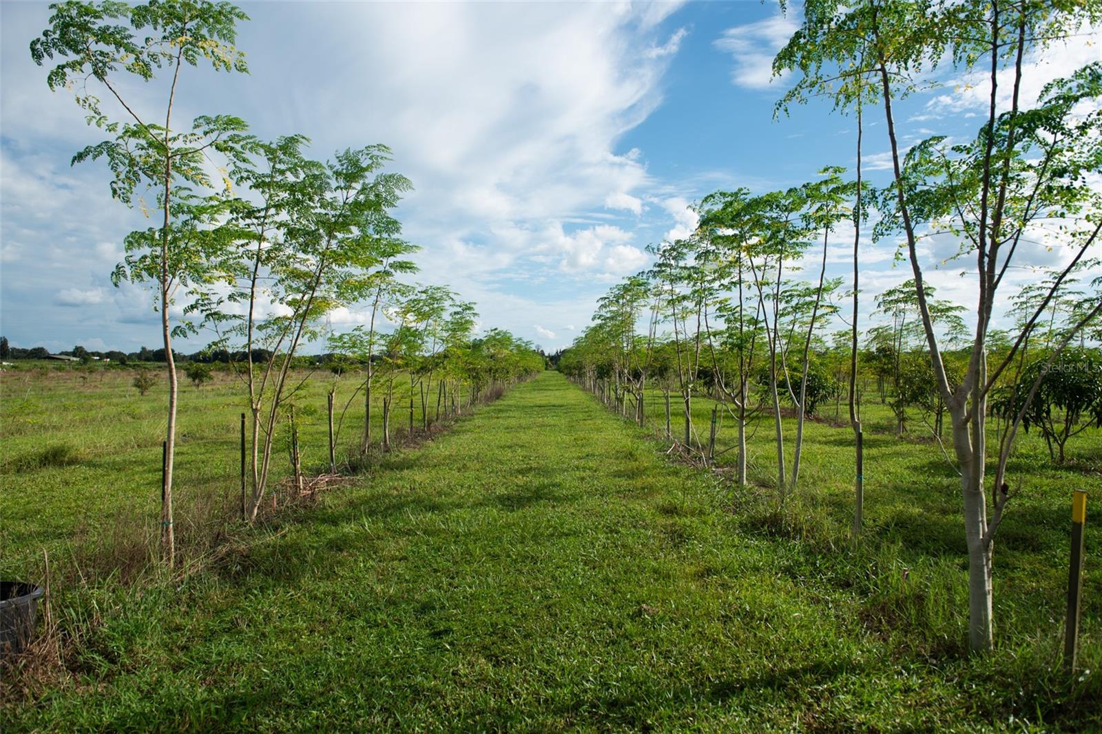 UNPLATTED - Land