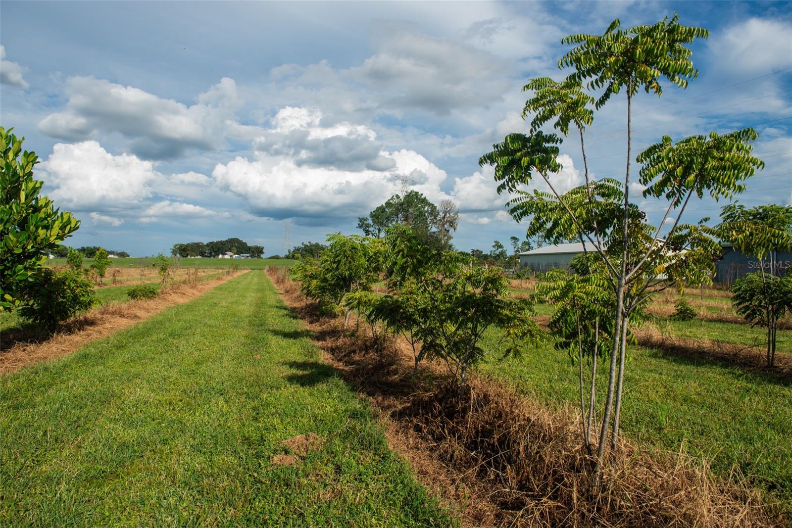 UNPLATTED - Land