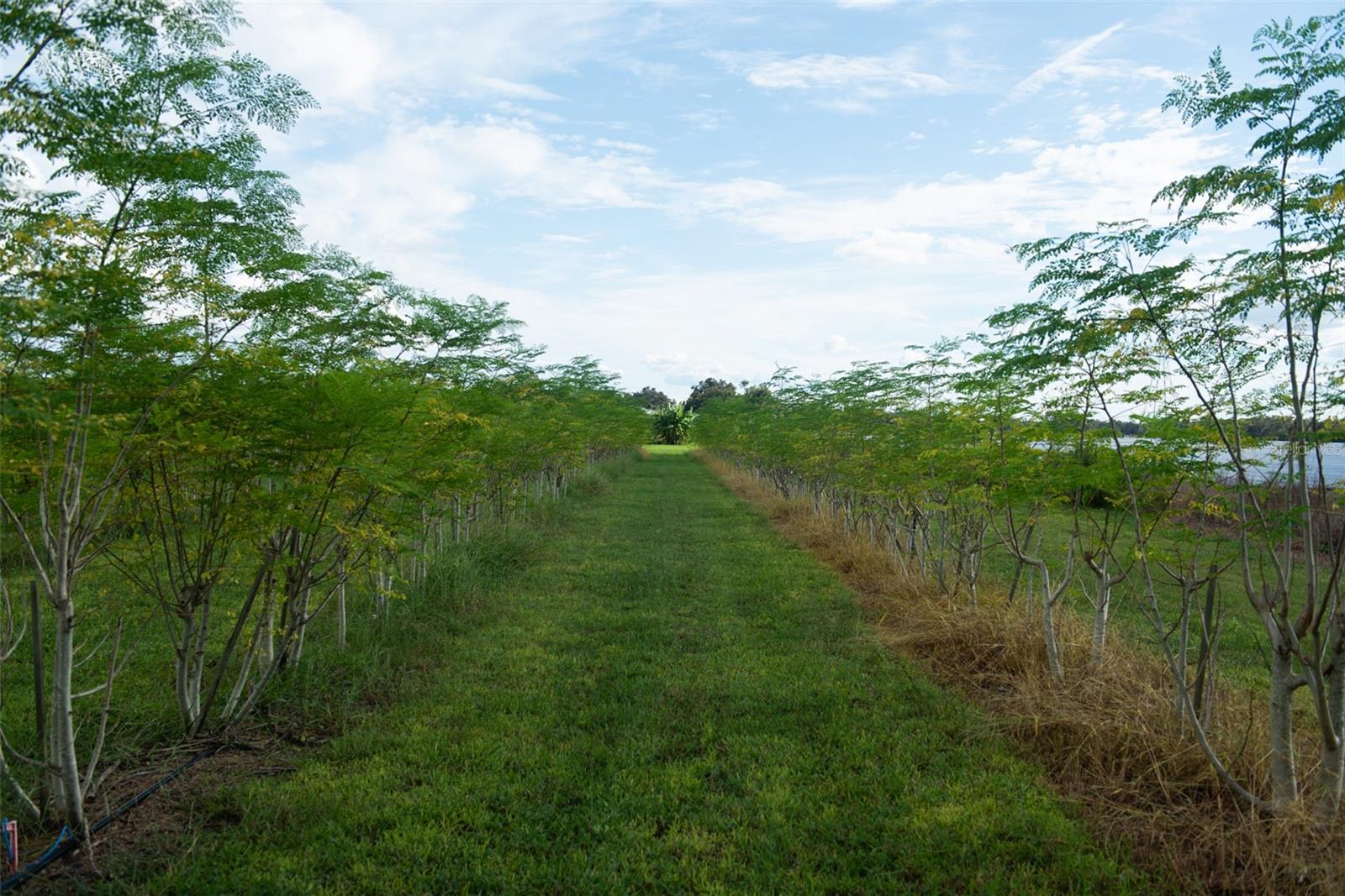 UNPLATTED - Land