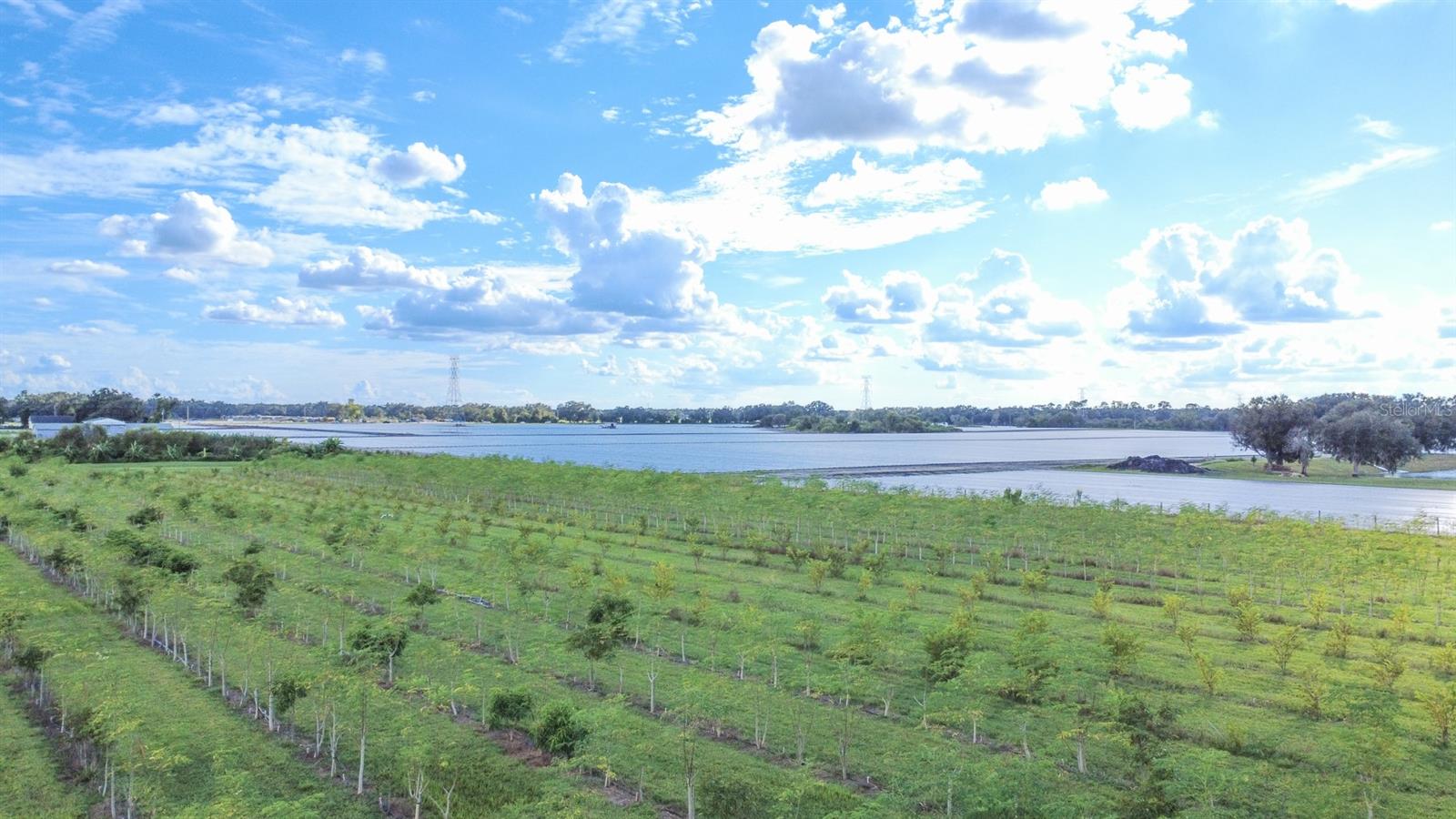 UNPLATTED - Land
