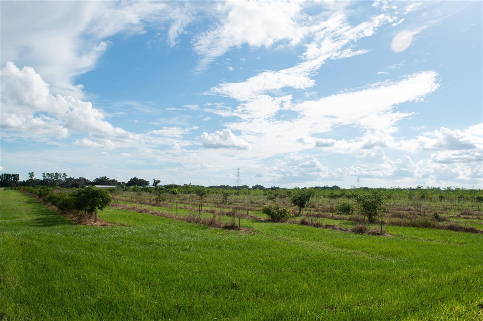 UNPLATTED - Land