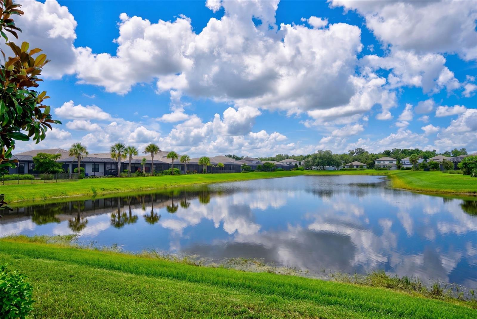 MAGNOLIA RANCH - Residential