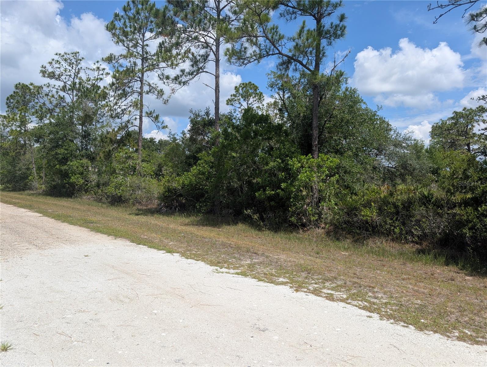 INDIAN LAKE ESTATES - Land