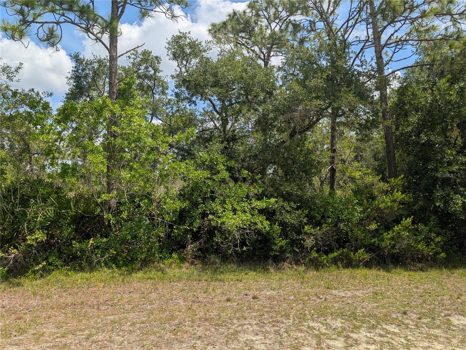 INDIAN LAKE ESTATES - Land