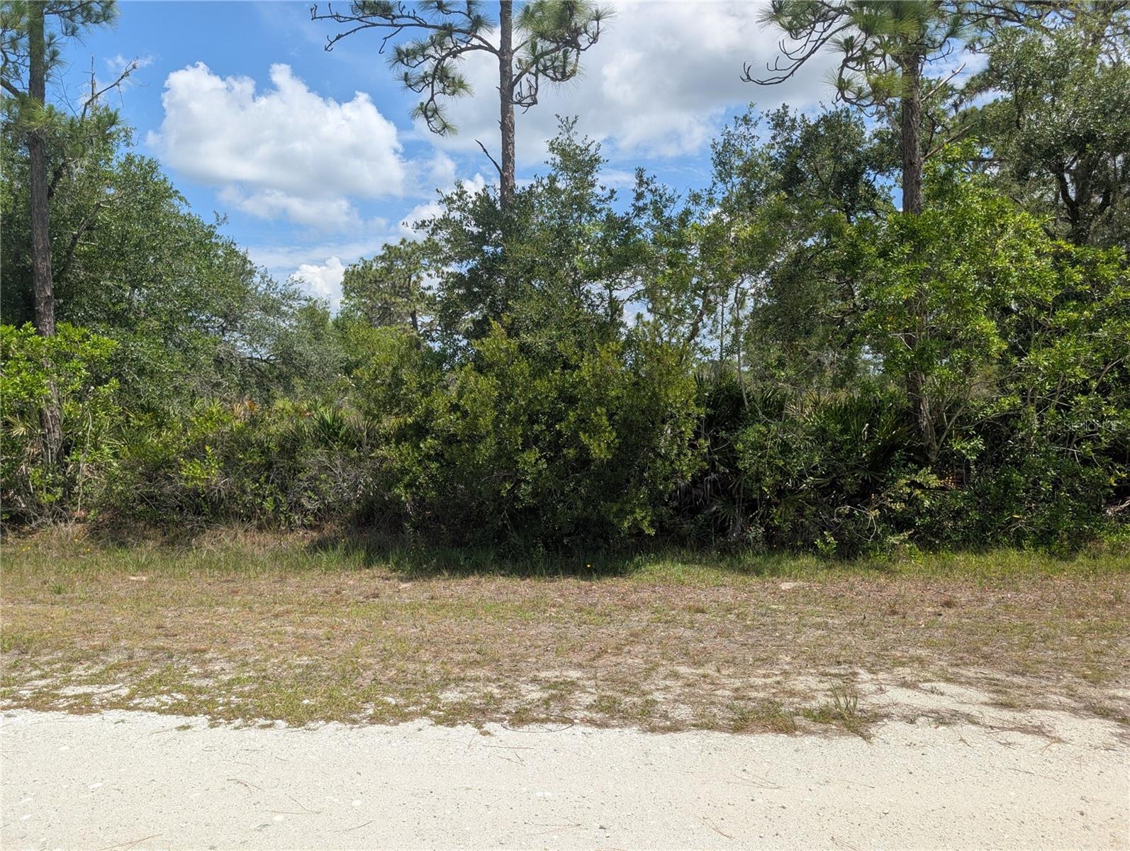 INDIAN LAKE ESTATES - Land