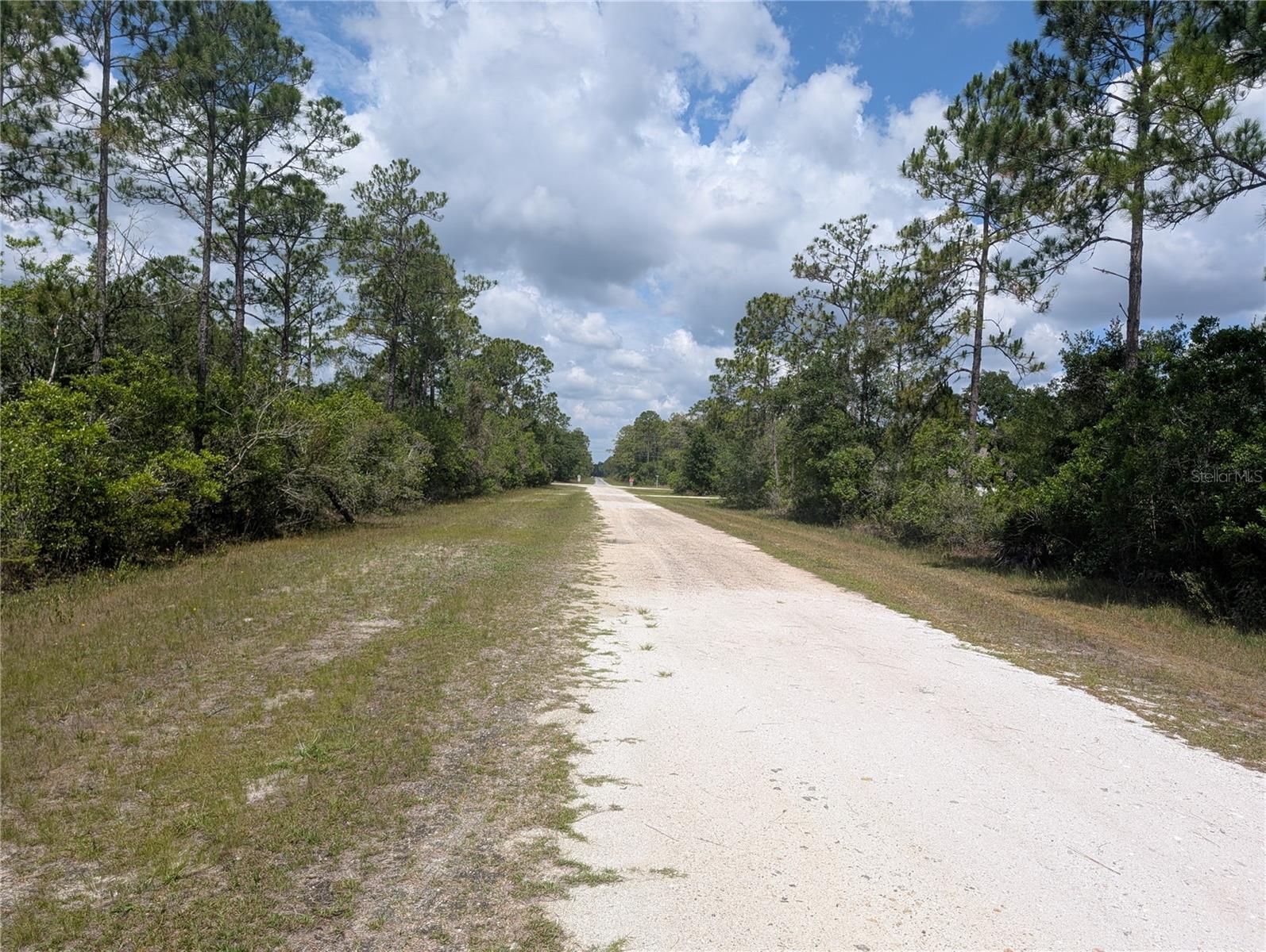 INDIAN LAKE ESTATES - Land