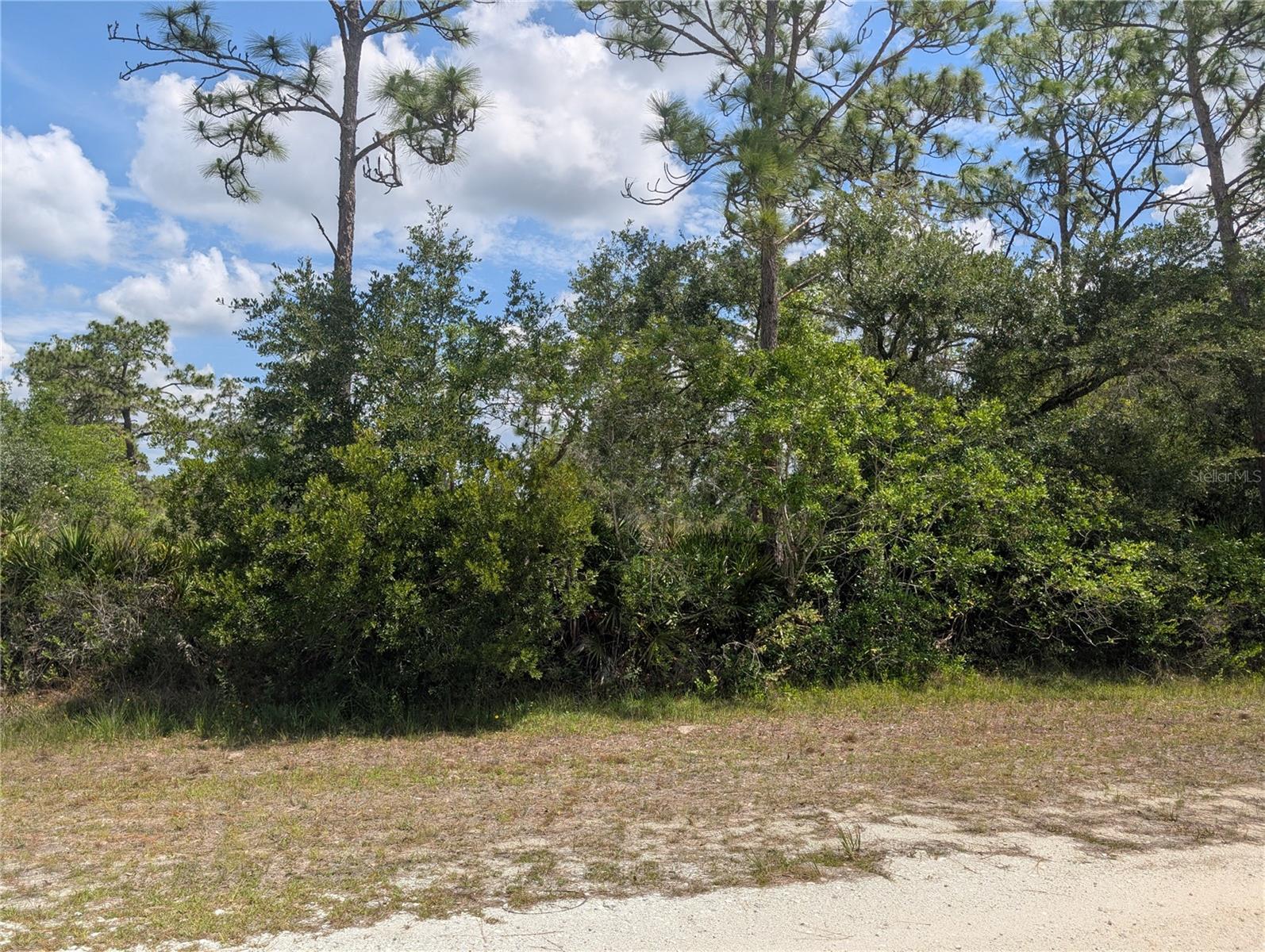 Build your dream home on this gorgeous half-acre lot in the vibrant and inviting lake community of Indian Lake Estates! This delightful area is a true paradise for golfing, fishing, and boating enthusiasts right in the heart of Florida. Located about 20 miles east of Lake Wales, Indian Lake Estates hugs the famous 7,500-acre Lake Walk In Water, recognized for its incredible fishing and crowned as one of Florida's premier bass fishing destinations! Imagine enjoying the lake’s beautiful beach, launching your boat from the convenient ramp, or exploring the state’s longest freshwater fishing pier. At the end of the pier, you’ll find a fantastic pavilion with propane grills and covered picnic tables—perfect for unforgettable gatherings with family and friends! The array of community amenities is simply astounding! Enjoy a round of golf on the impressive 18-hole course, shoot some hoops on the basketball courts, or challenge a friend to a game of tennis. The sprawling 23,000 sq. ft. clubhouse offers a cozy café, a post office, churches, a library, a fitness room, and a pro shop—all designed to enhance your lifestyle in this beautiful paradise. If you’re a lover of nature, you’re in for a real treat! The area is alive with wildlife, so keep your eyes peeled for deer, raccoons, turkeys, turtles, cranes, and a rich variety of birds that call this community home. And for those seeking more adventure, Orlando and Disney are just an hour’s drive to the north, while Tampa, Busch Gardens, and the stunning Gulf beaches await a little over an hour to the west. Don’t miss the historic Bok Tower, a National Landmark located nearby in Lake Wales! Plus, just six miles away, you’ll find the Westgate River Ranch Resort and Rodeo—a true slice of authentic Florida life. This 1,700-acre resort offers horseback riding, exhilarating airboat and swamp buggy rides, a thrilling championship rodeo on Saturday nights, and a trap/skeet range among many other activities. Enjoy nature hikes, a petting farm, a marina, and an Adventure Park featuring zip lines and climbing walls! 
Feast on delicious meals at the Westgate Smokehouse Grill and River Ranch Saloon, or choose from a fantastic selection of cowboy-themed accommodations, including lodge rooms, deluxe suites, spacious cottages, and even deluxe teepees. Come and discover the charm and excitement of Indian Lake Estates—Polk County’s best-kept secret! You won’t want to miss out on this incredible opportunity!