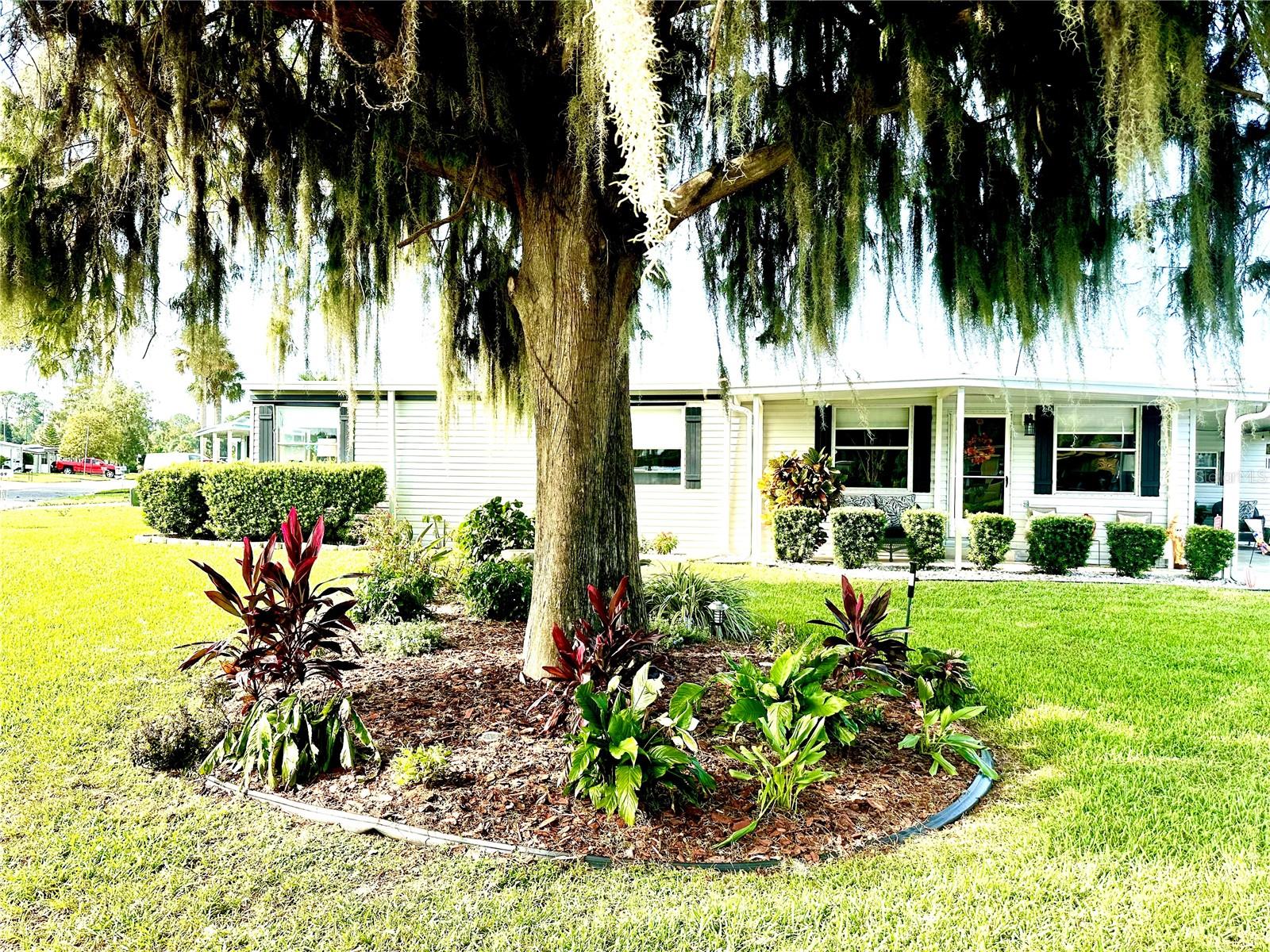 TAVARES IMPERIAL MOBILE TERRACE ADD - Residential