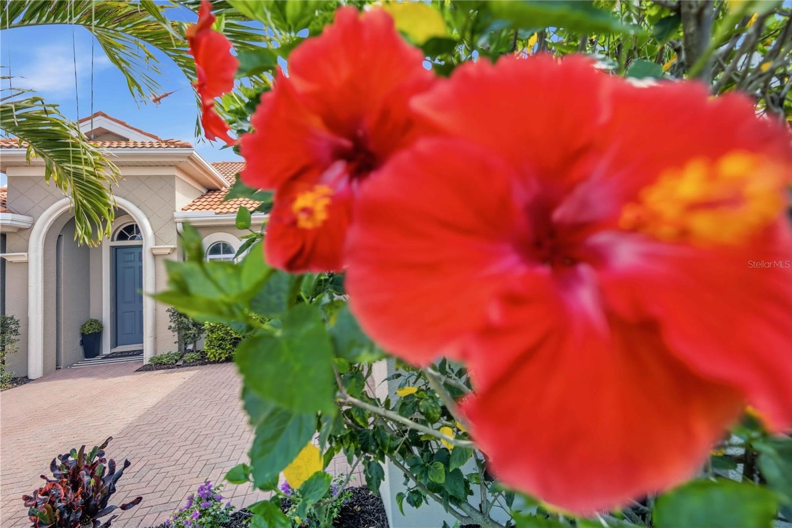 VENETIAN GOLF & RIV CLUB - Residential