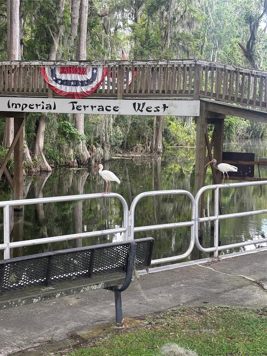 IMPERIAL MOBILE TERRACE SUB - Residential