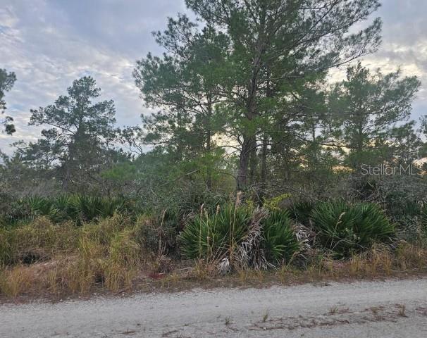 This 1/4-acre natural wooded lot is located in the highly desirable Avocado Park area of Sebring, Florida. Known for its lush landscapes, peaceful ambiance, and to Higlands County most beautiful lakes and nature reserves, this location offers the perfect blend of tranquility and outdoor adventure. Living in Highlands County means you're surrounded by wildlife, serene lakes, and breathtaking scenery, all while being just minutes away from everything nature lovers cherish. This area boasts existing homes nearby, making it convenient for utility connections. Imagine waking up to the peaceful beauty of your wooded lot, with abundant recreational opportunities right outside your door. Every March, you can enjoy the 12 Hours of Sebring race, a premier motorsport event that attracts enthusiasts worldwide. Additionally, Lake Placid’s Caladium Festival in July offers live music, parades, and a taste of local culture. For water sports lovers, this region is a dream come true. With frequent competitions on Lake Jackson and Lake June, plus bass fishing tournaments on Lake Istokpoga, there's no shortage of outdoor excitement. Whether you're planning to build your dream home or invest in this growing area, this lot represents a fantastic opportunity. With the increasing demand for properties in this area, the potential for appreciation is significant. Be close to Highlands Hammock State Park and YMCA. Affordable living in Highlands County means you can embrace the paradise lifestyle without the high cost. With its stunning natural beauty, events, and outdoor recreation, it's clear why this area is a prime destination for both getaway properties and permanent homes.