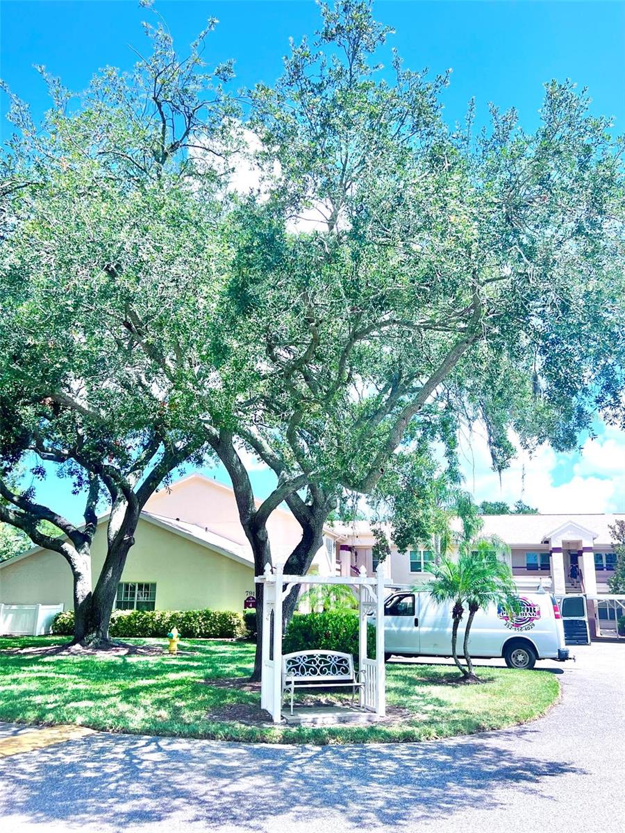 MILLPOND TRACE CONDO - Residential
