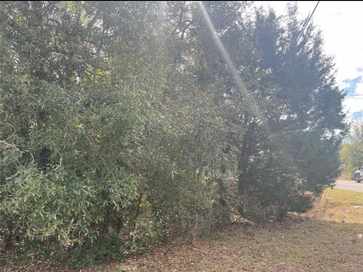SMITH LAKE ESTATE - Land