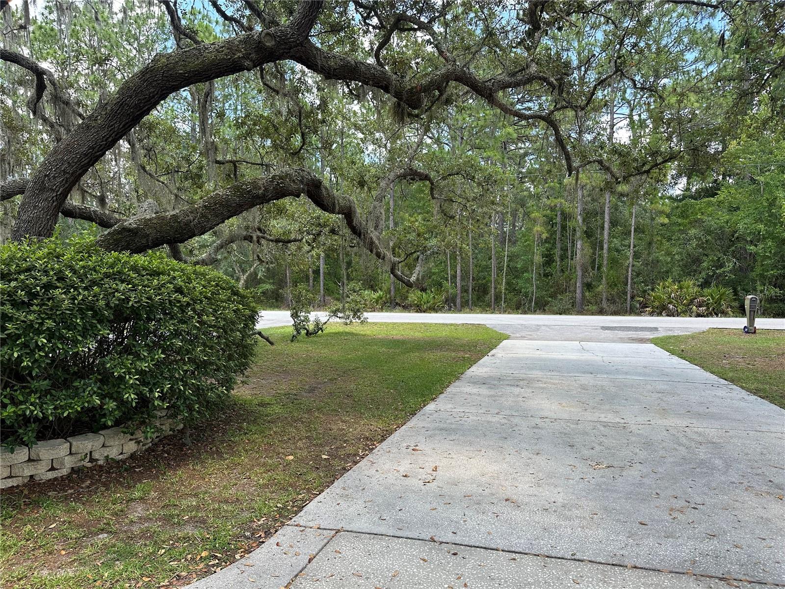 CITRUS PARK - Residential