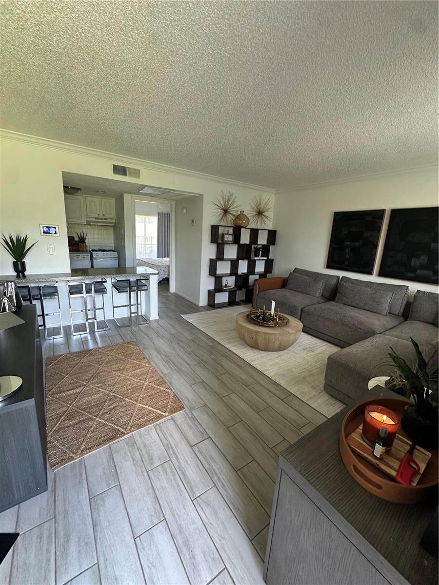 WATERSIDE AT CRANES ROOST A CONDO COMMUNITY - Residential